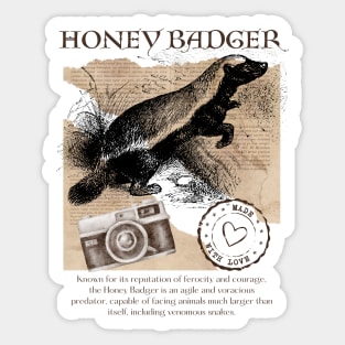 Honey Badger Vintage Sticker